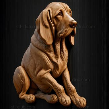 3D model st The Italian Hound dog (STL)